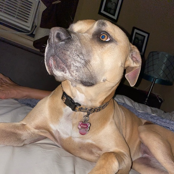 Meet your Posher, Hannah - Picture 1 of 1